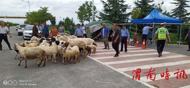 渭南白杨派出所防汛期间帮助群众转移财物