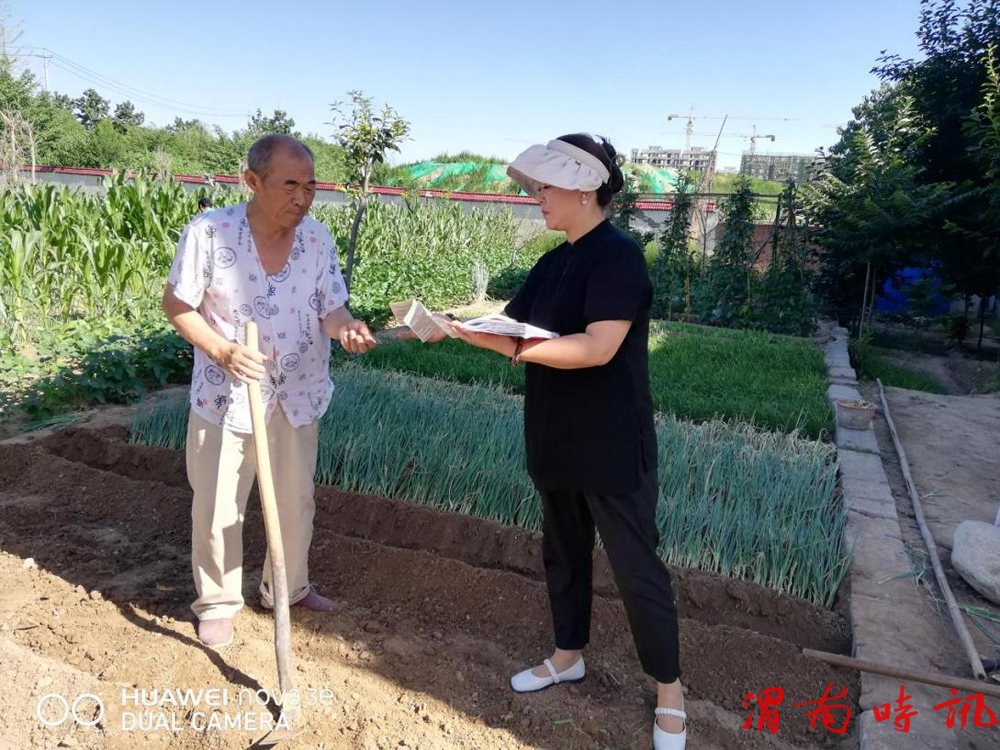 柔肩有担当  基层展芳华 ——杏林镇三溪村第一书记杨莹驻村工作素描(图5)